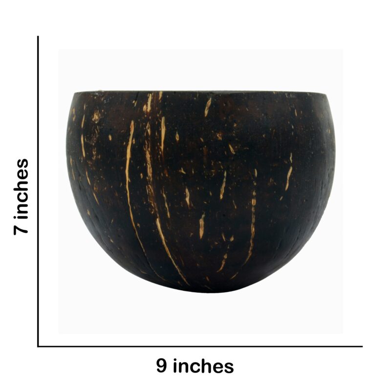 coconut